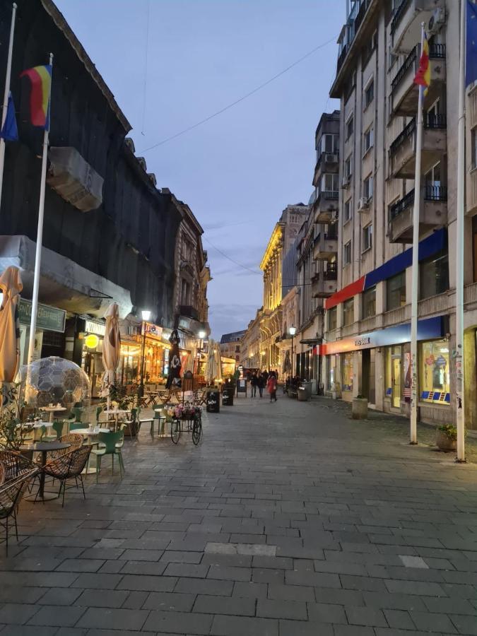شقة Color Ap Calea Victoriei 12C بوخارست المظهر الخارجي الصورة